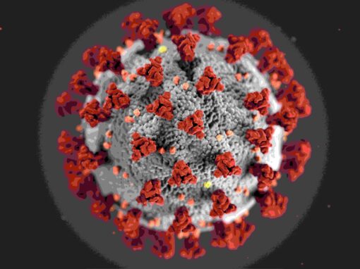 Covid – 19 Indianapolis Marriage Licenses