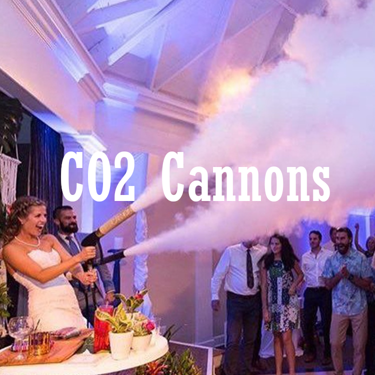 Wildly Fun Wedding DJ Add On CO 2 hand held cannons  in Indiana